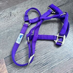Purple Horse Halter